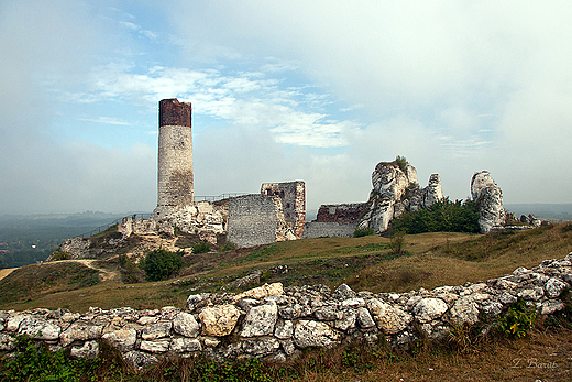 ruiny zamku z XIV w. - wiea cylindryczna