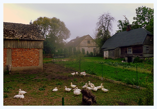 wiejskie klimaty. po deszczu