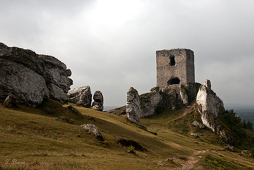 ruiny zamku - baszta Starociska