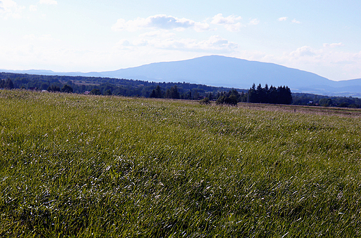 Ciche. Widok na Babi Gr.