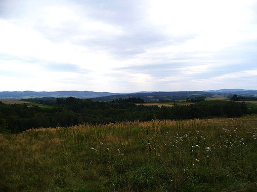 panorama okolic strzyowa