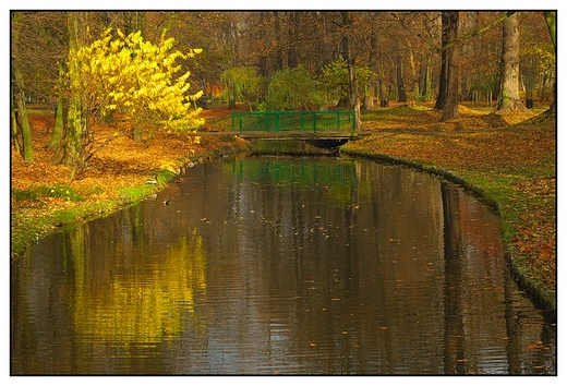 Kalisz - fragment sztucznego strumienia z mostkiem w Parku Miejskim