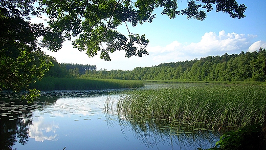 Jezioro I Barnwko