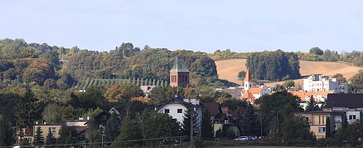 Widok Trzebnicy od wschodu.