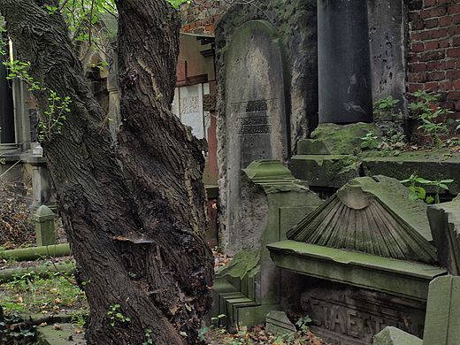 Stary Cmentarz ydowski