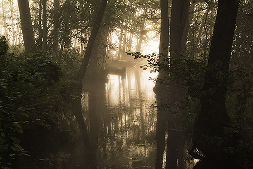 Suwalskie klimaty. Suwalski Park Krajobrazowy