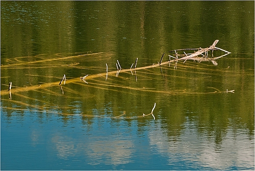 Dolina rospudy .Jezioro Jaowo.