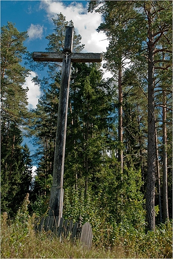 Przydrony krzy.Dolina Rospudy.Natura 2000