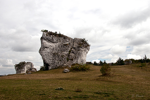 skalne ostace przy zamku w Mirowie