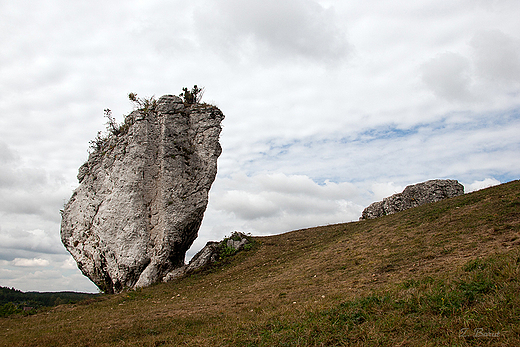 skalny ostaniec obok zamku w Mirowie