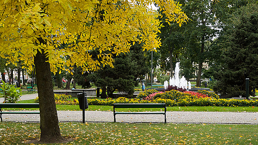 Park im. Konstytucji 3 Maja