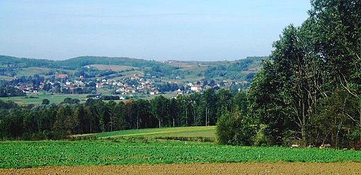 panorama Winiowej Strzyowskiej