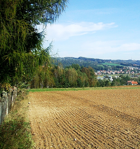 panorama Strzyowa