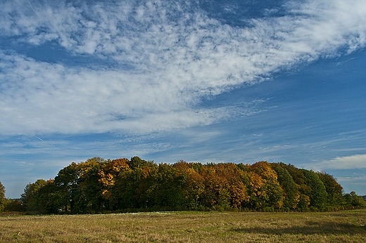 Podworski park w ydwku