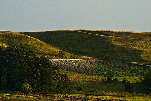 Rezerwaty Ponidzia - Rezerwat Krzyanowice