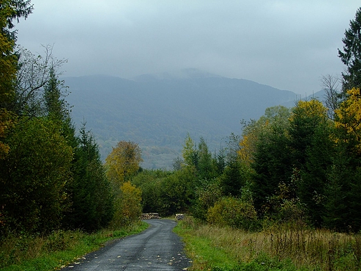 Na szlaku. Kalnica