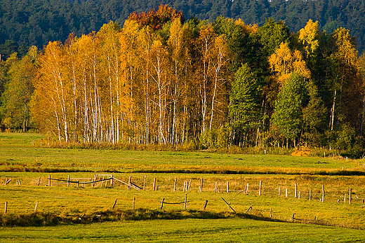 Suwalskie klimaty. Suwalski Park Krajobrazowy