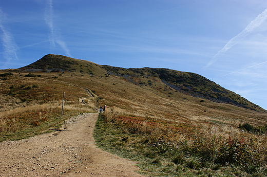 Tarnica - Krlowa polskich Bieszczadw