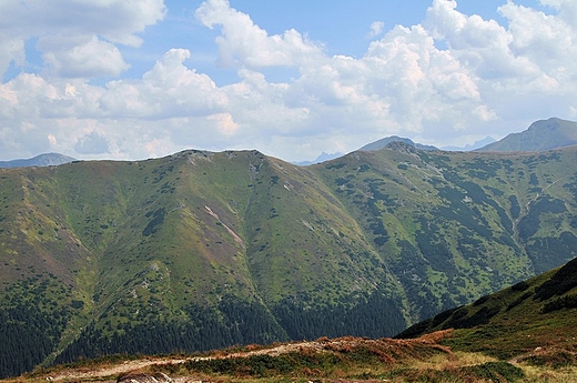 Trzydniowiaski