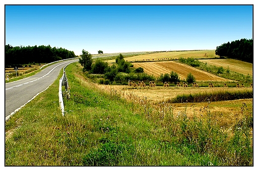 Krajobraz po niwach, gdzie w okolicach Gorajca