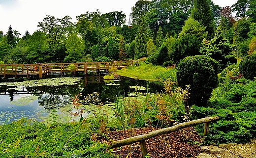 Arboretum Bolestraszyce