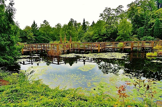 Arboretum Bolestraszyce