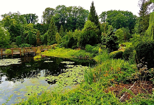 Arboretum Bolestraszyce