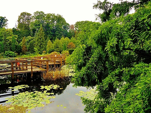 Arboretum Bolestraszyce