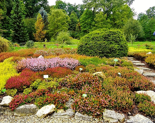 Arboretum Bolestraszyce