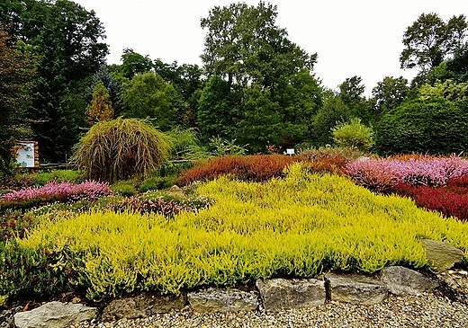 Arboretum Bolestraszyce