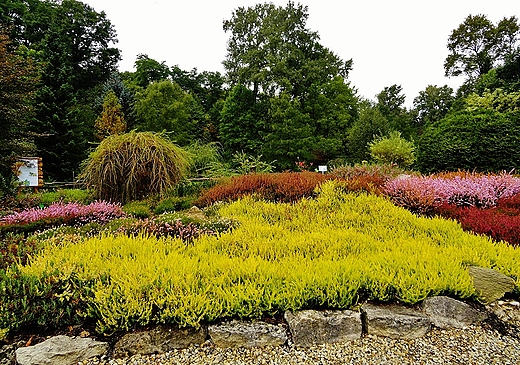 Arboretum Bolestraszyce