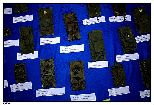 Kalisz - IV Kaliskie Dni Modelarza i Pasjonata _ militaria