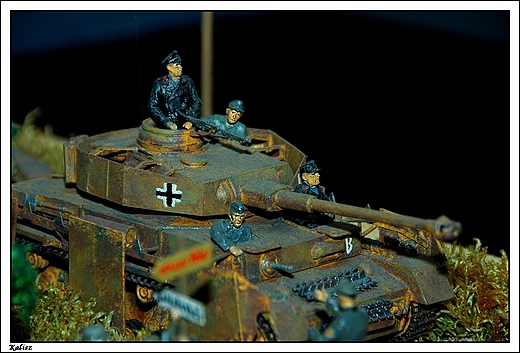 Kalisz - IV Kaliskie Dni Modelarza i Pasjonata _ militaria