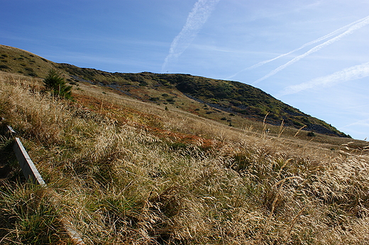 Tam powyej gwiadziste ramiona... Bieszczady