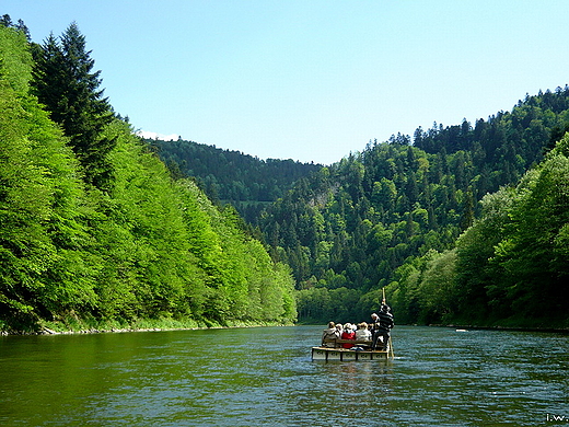 Flis pieniski. Dunajec