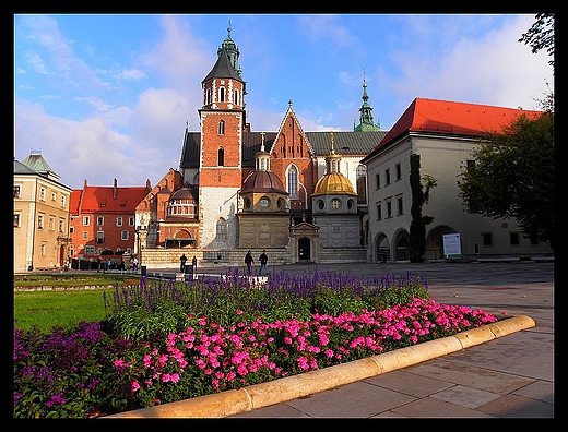 Wawel o poranku