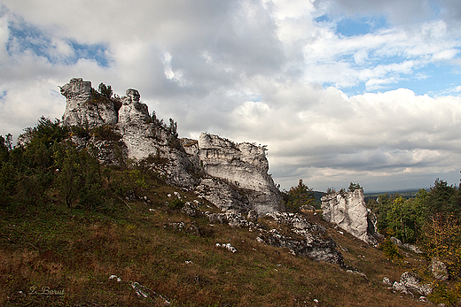 Podlesice - Rezerwat Gra Zborw