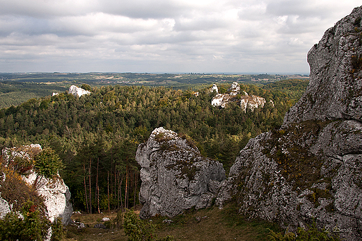 Rezerwat Gra Zborw