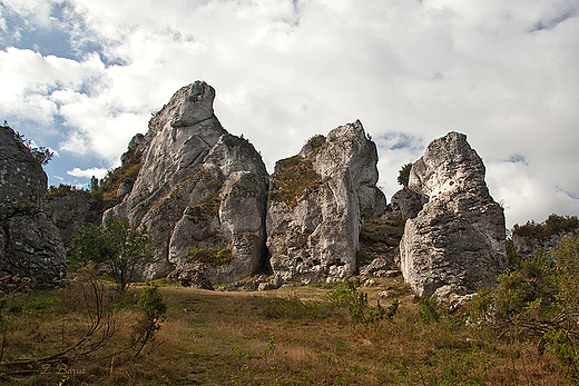 Rezerwat Gra Zborw