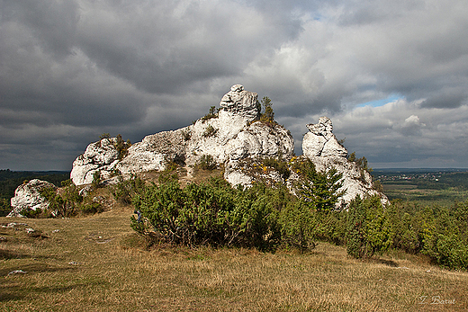 Rezerwat Gra Zborw