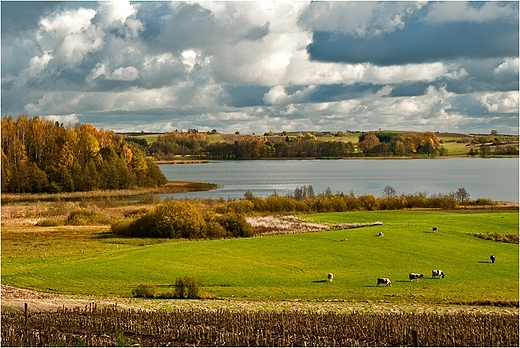 Nad jeziorem Wiajny.