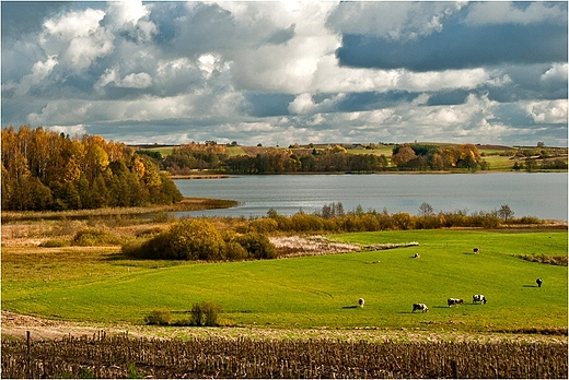 Nad jeziorem Wiajny.