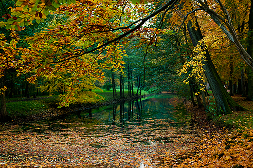 Park Wejherowo