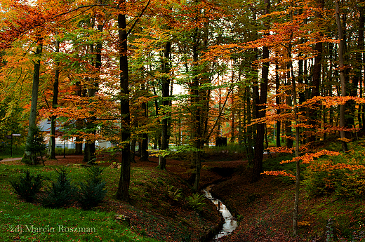 Park Wejherowo