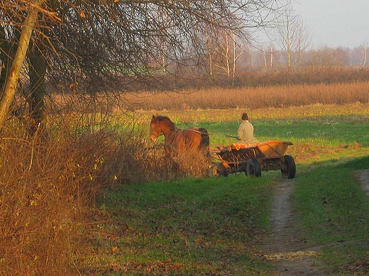 W sobotnie popoudnie. Wwolnica