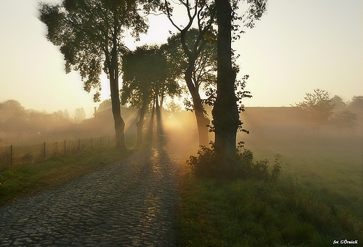 Magia poranka.