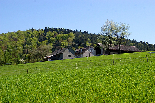 Zielony Beskid Niski