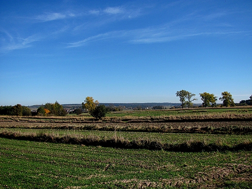 Widok na pola