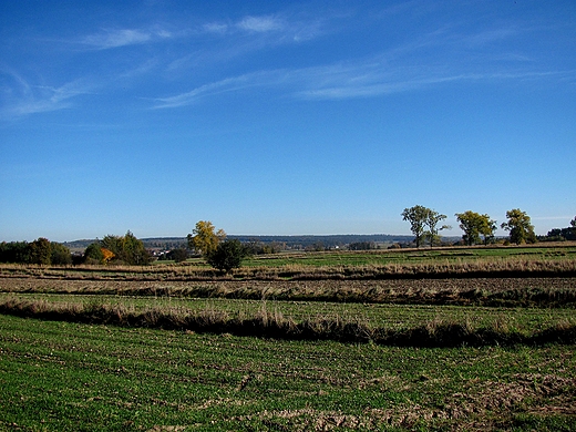 Widok na pola