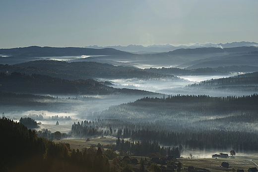 Mgy z Ochodzitej - Koniakw